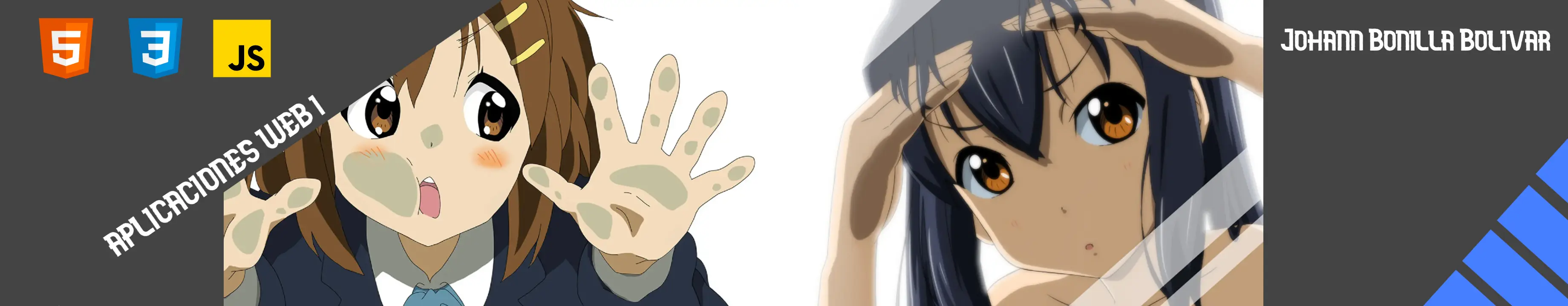 banner web anime